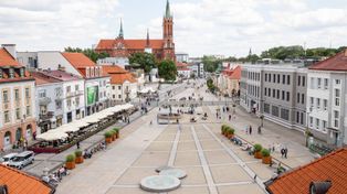 Na białostockim Rynku Kościuszki pojawią się jabłonie, jarząby i śliwy