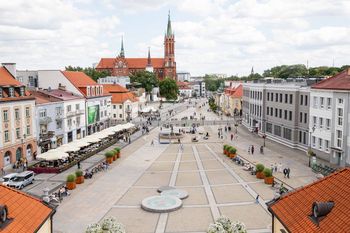 Na białostockim Rynku Kościuszki pojawią się jabłonie, jarząby i śliwy