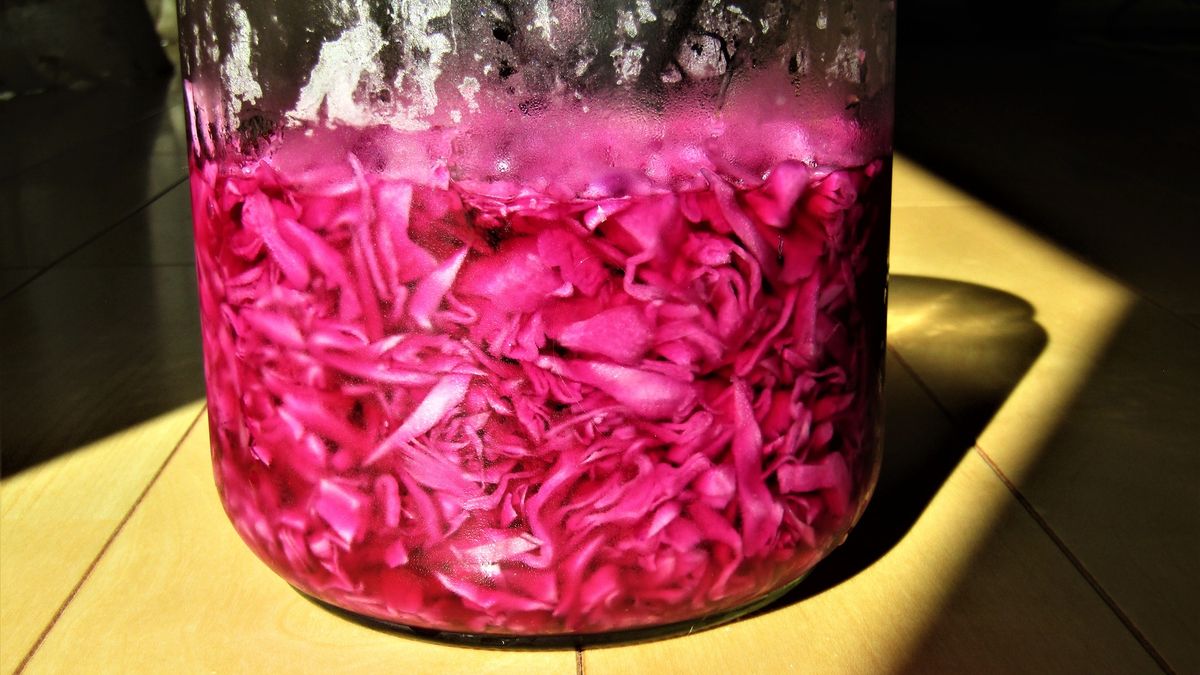 Czerwona kapusta to bogactwo witamin i antyoksydantów