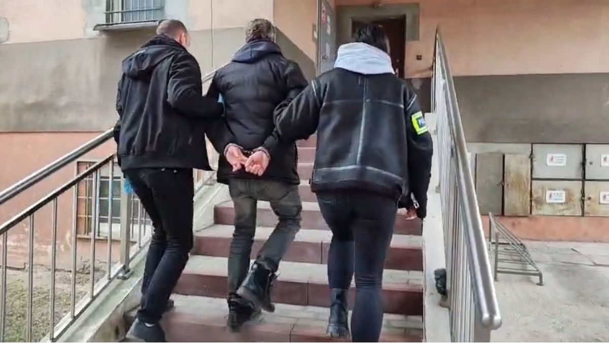 Zwierzę i kobieta w piekle jednego mieszkania – 37-latek z Złoczewa aresztowany za wyjątkowo okrutne znęcanie się.