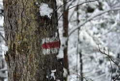 Tatry. Temperatura odczuwalna w ostatnią noc wyniosła nawet -63 st. C