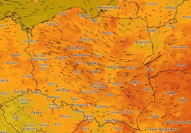 Pył nad Polską 2022. Wschodni wiatr przyniósł zanieczyszczenia