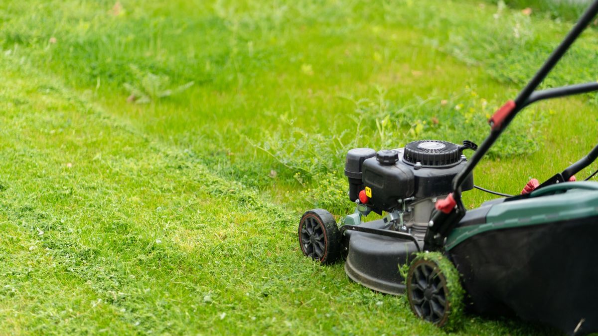 Kiedy kosić trawnik po zimie?