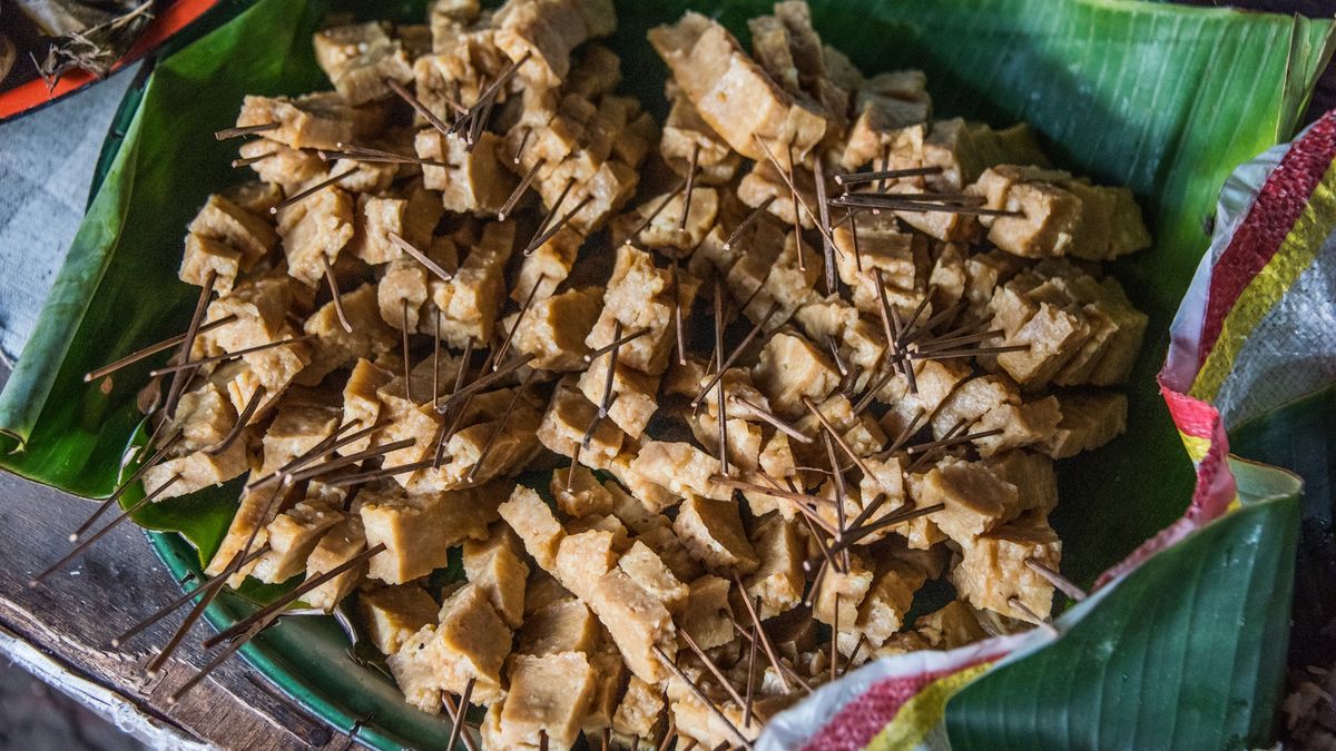 Tempeh to źródło probiotyków