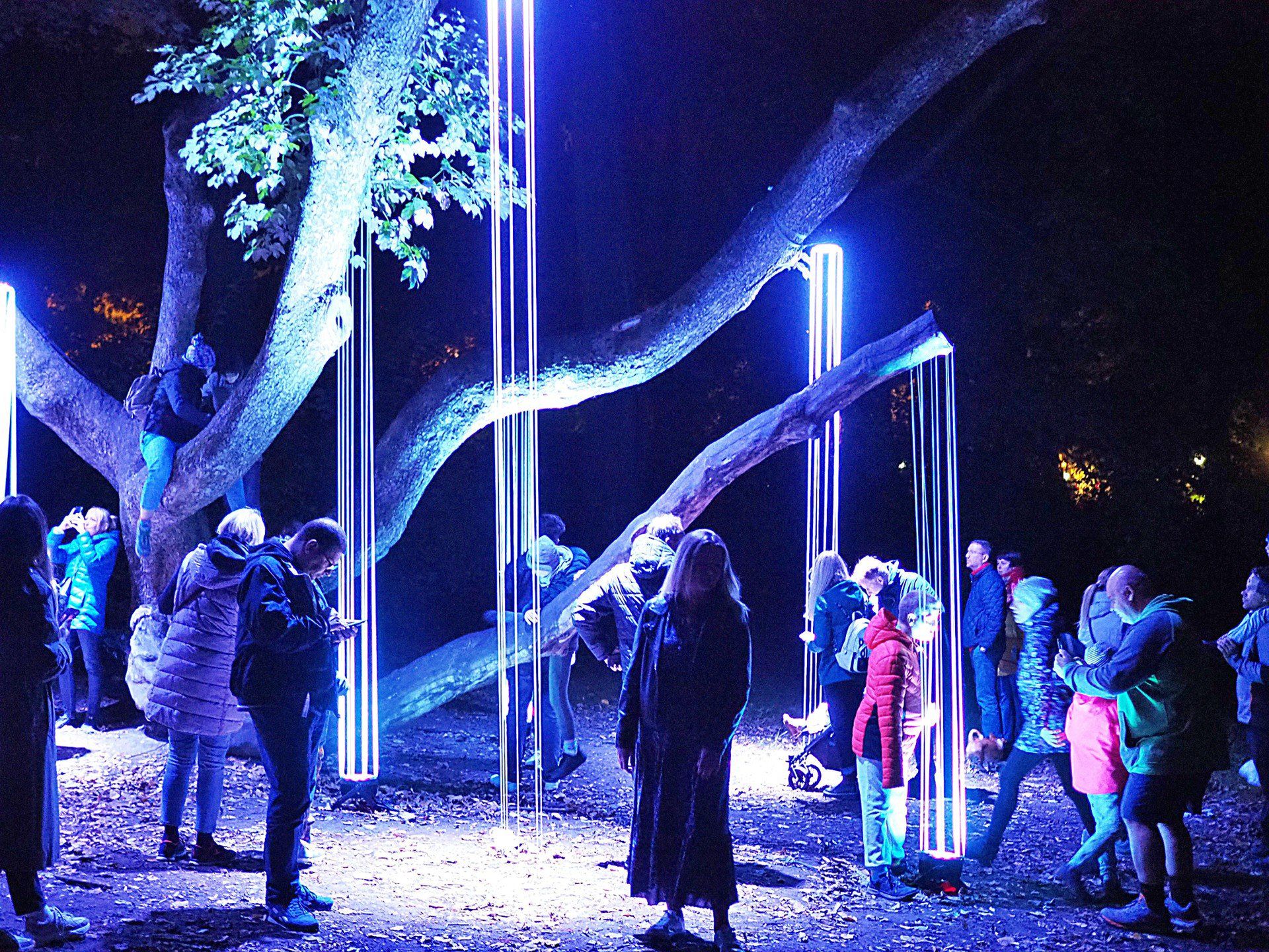 Jak tym razem tłumom łodzian i turystów zaprezentuje się Łódź i jej atrakcje podczas lubianego Light.Move.Festival, zwanego popularnie Festiwalem Światła?