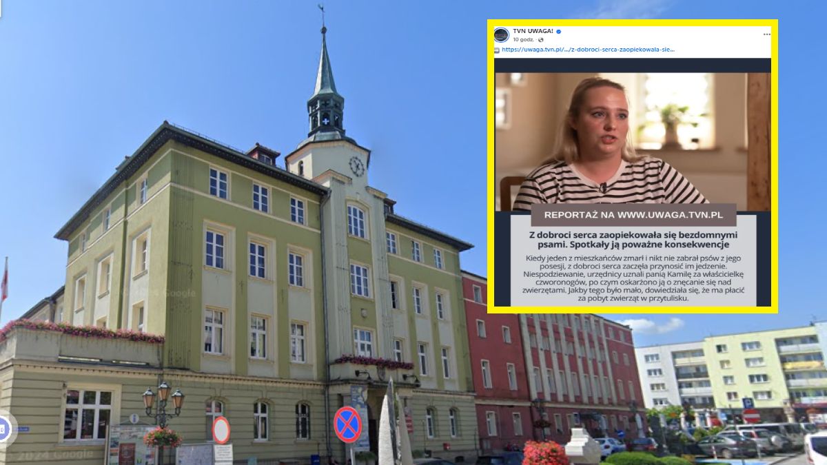 Pani Kamila z dobroci serca chciała pomóc psom