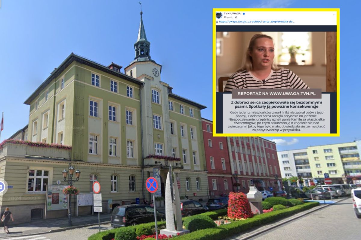 Pani Kamila z dobroci serca chciała pomóc psom