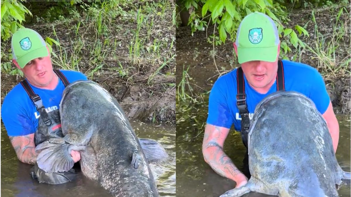 Poławiacz sumów gigantów pobił swój rekord