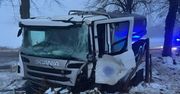 Giżyckie: Kierowca ciężarówki w rowie po próbie ominięcia dzika