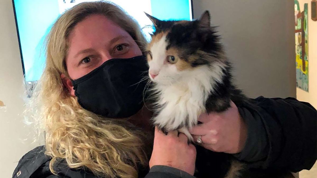 Kara Hanlon odnalazła swoją kotkę Lottie po 5 latach