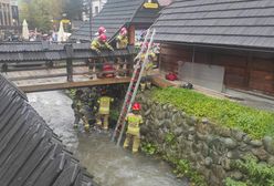Makabryczne odkrycie w centrum miasta. Zwłoki na Krupówkach