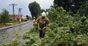 Dolny Śląsk: Deszczowo będzie przez kilka dni. Są alerty IMGW