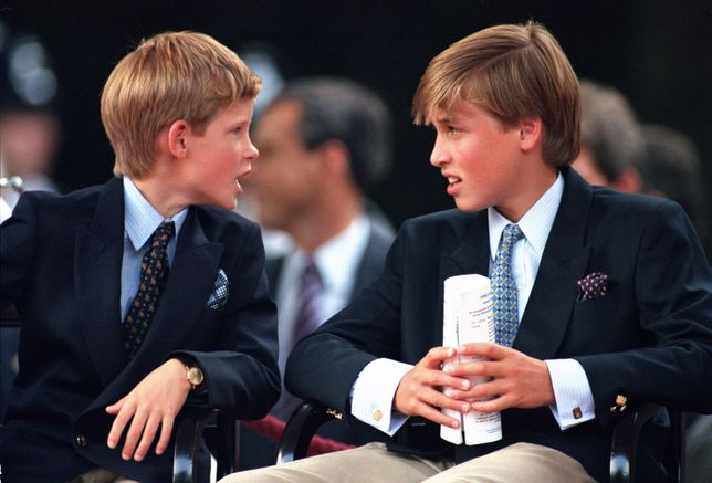 Harry i William w 1995 roku