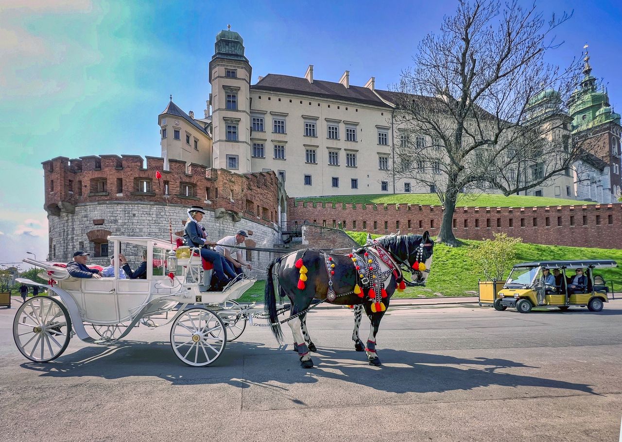 Gdzie na długi weekend w sierpniu? Polska oferuje wiele atrakcji