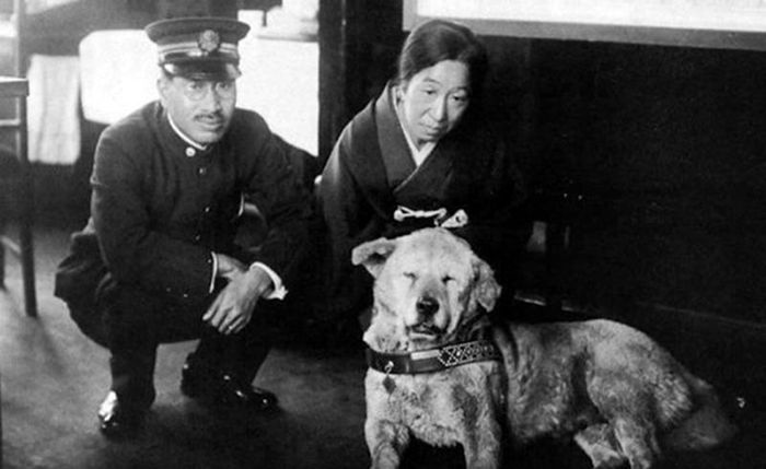Rzadkie zdjęcia psa Hachiko, który czekał na swojego pana aż do śmierci 11