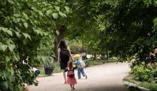 Za ten błąd można słono zapłacić. Mandat za spacer z dzieckiem