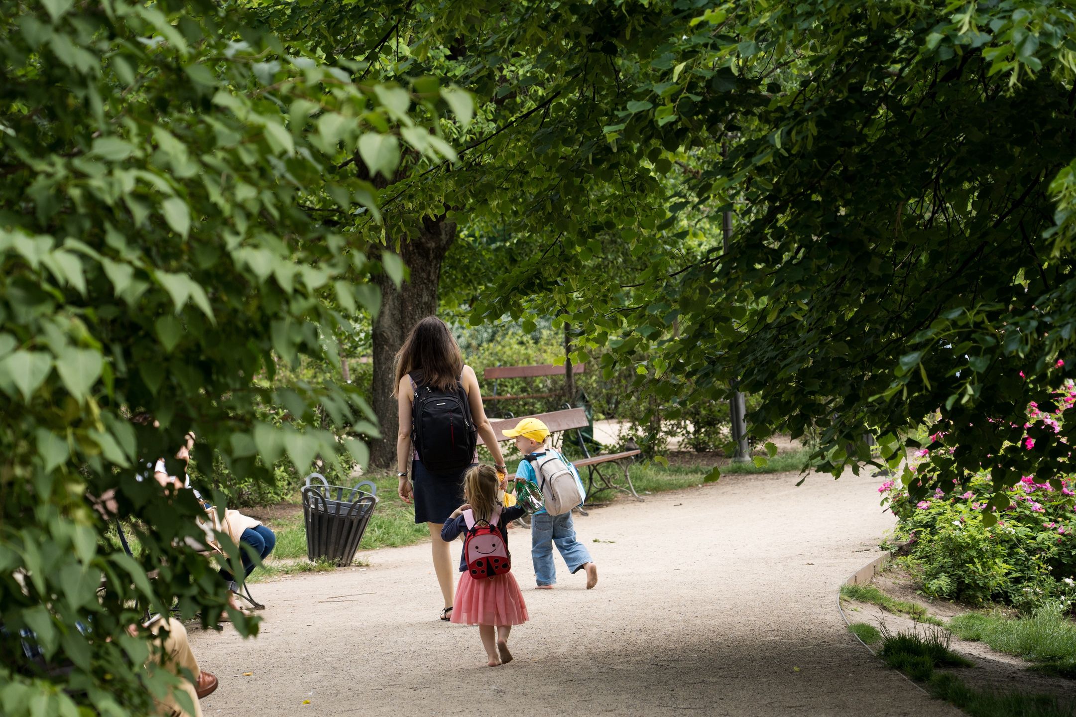 park spacer rodzina dziecko matka ludzie drzewa zieleń 
