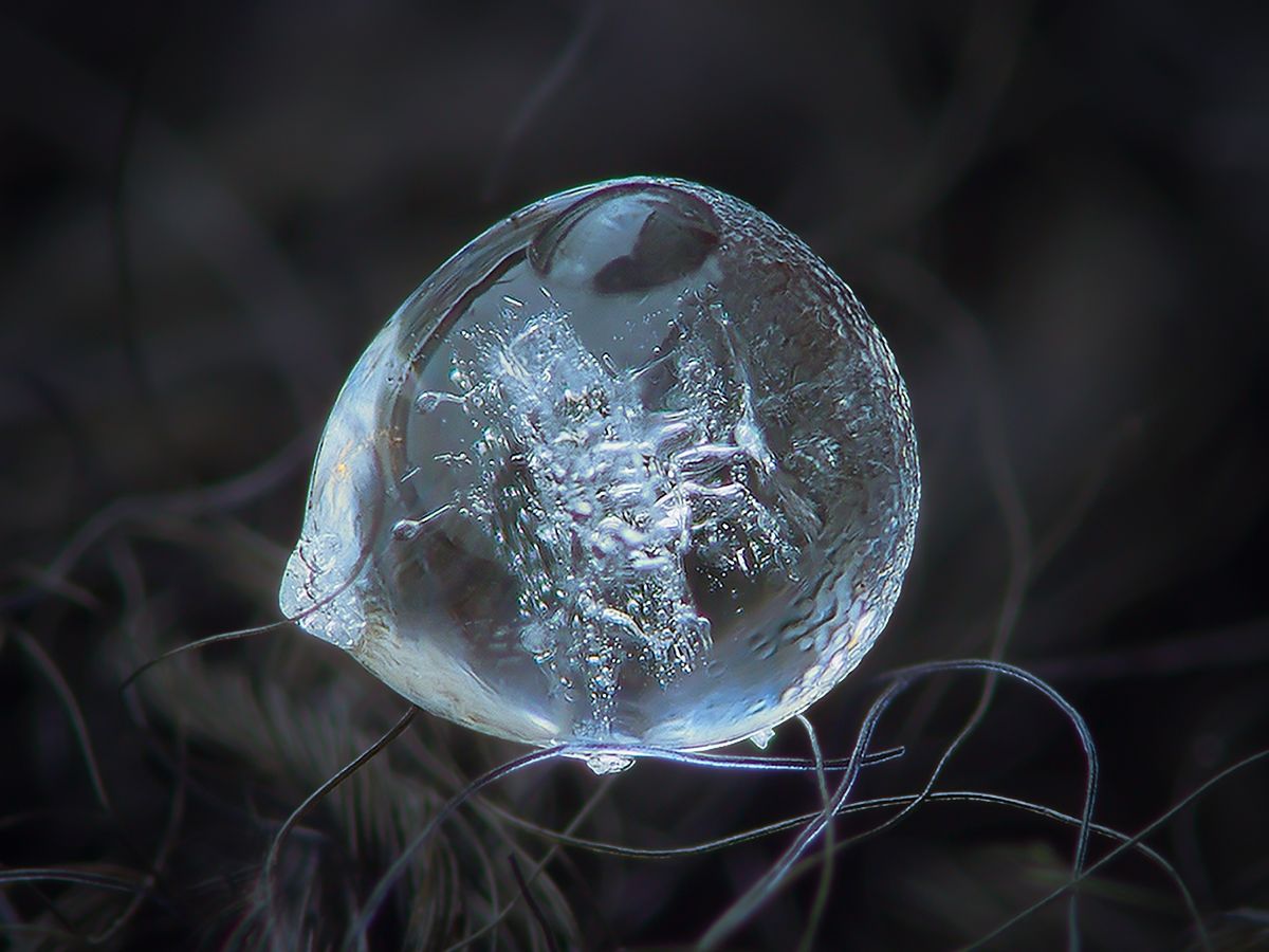 Na wstępie bardzo ciekawa rzecz. Alexey wcale nie używa najdroższego i najlepszego sprzętu fotograficznego. Artysta uważa, że jego twórczość tego nie wymaga. Wykorzystuje do zdjęć Canona Powershot A650is z 6-krotnym optycznym zoomem, co którego podłączony jest odwrócony obiektyw Helios 44M-5 z radzieckiego aparatu Zenit. Pozwala mu to na robienie przepięknych zdjęć.