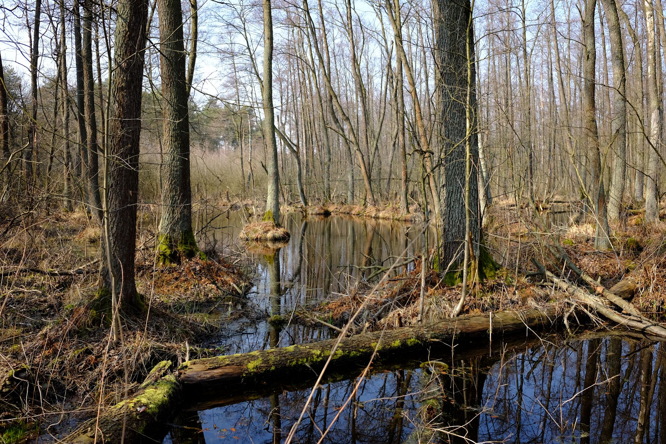 Fujifilm X70 - kieszonkowe APS-C [test] 95