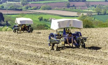 "Grozi za to grzywna 1500 zł". Burmistrz apeluje do rolników