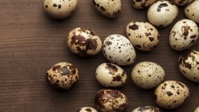 Jaja przepiórcze mają wiele cudownych właściwości 
