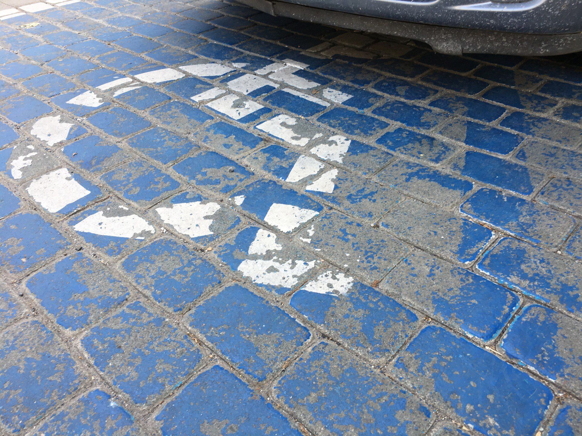 Osoby, które nie potrzebują pomocy w komunikacji, czy korzystaniu ze środków transportu. 