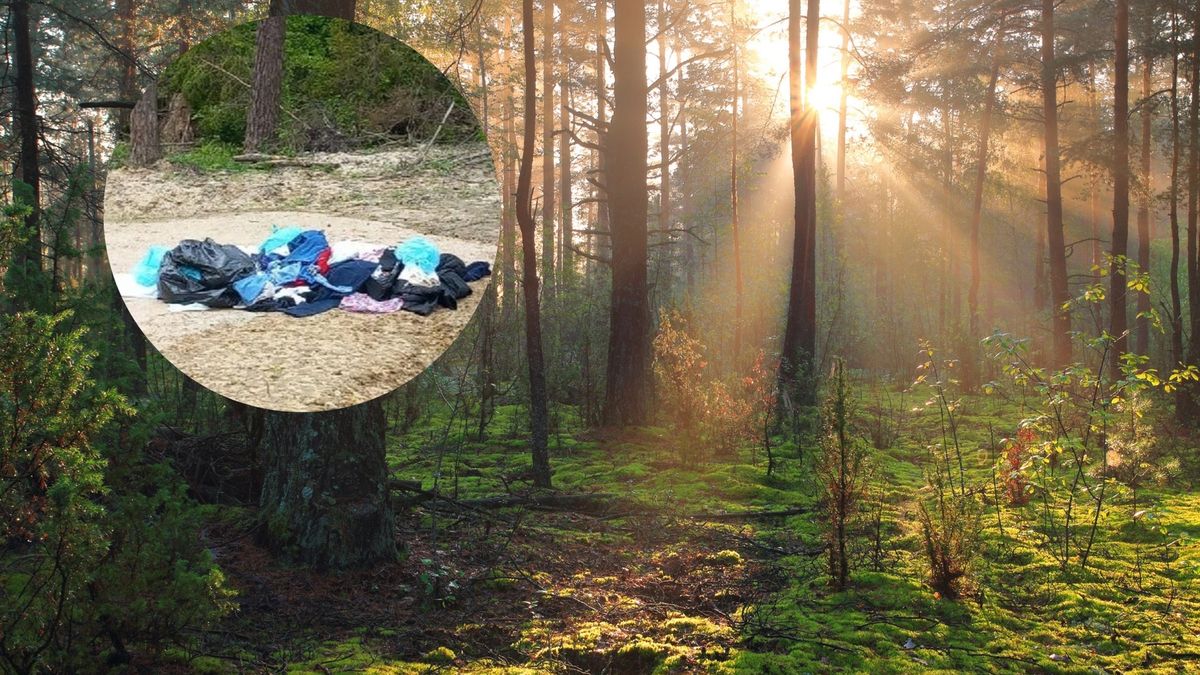 Ktoś wyrzucił to w lesie. Leśnicy proszą o pomoc