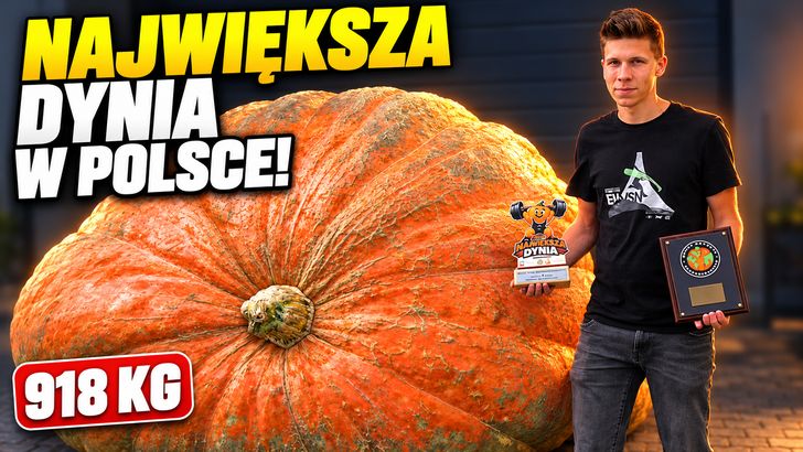 Największa dynia w Polsce