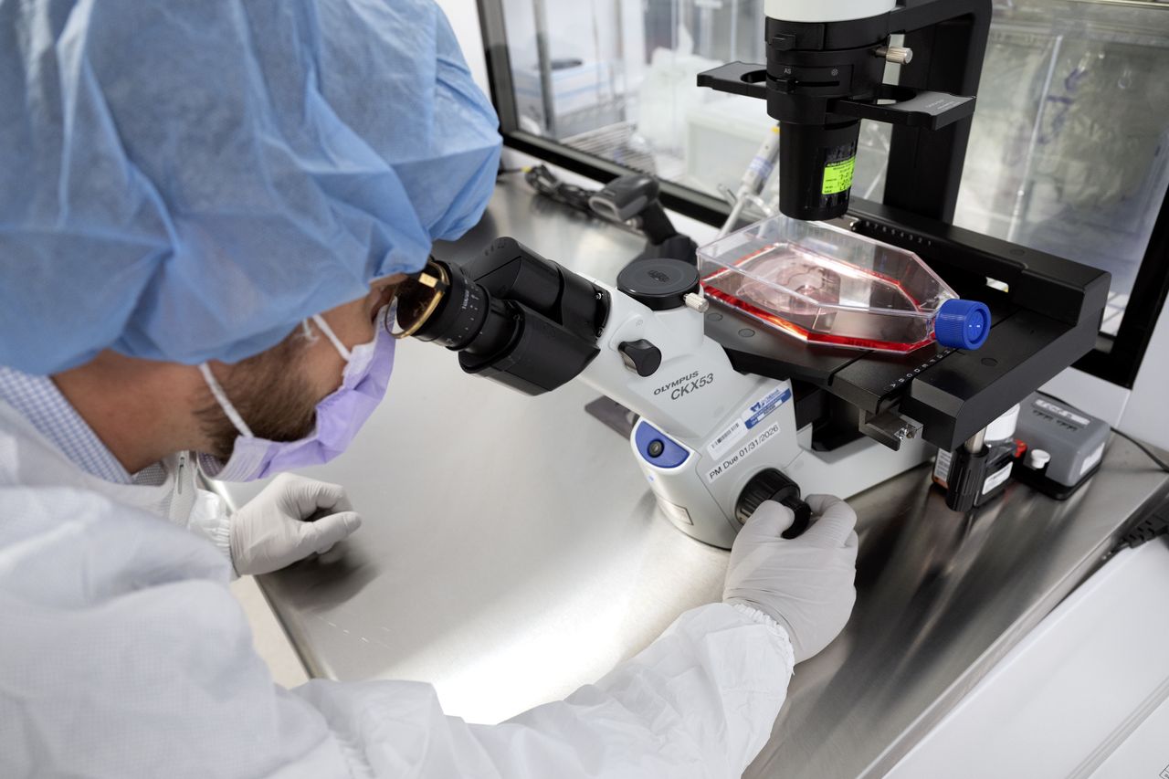To najbardziej zabójczy rak. Nowy test ułatwi diagnostykę