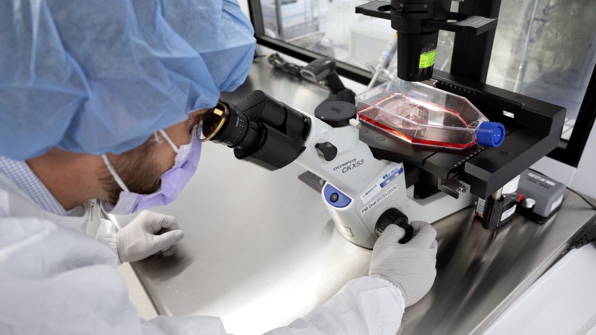 WASHINGTON, DC - AUGUST 26:  Chase McCann, Associate Director of cell therapy lab core, gives a mock demonstration of how cancerous t- cells from a child  are used to create an autoimmune treatment to eventually rid the bidy of cancer, at  Children's National Hospital on August 26, 2025 in Washington, DC.  A medical breakthrough and project called the Cancer Grand Challenge, an audacious bid to improve treatment for children's solid tumors.(Photo by Marvin Joseph/The Washington Post via Getty Images)