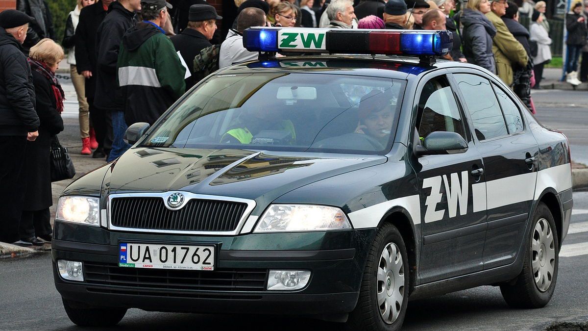zandarmeria mon korupcja