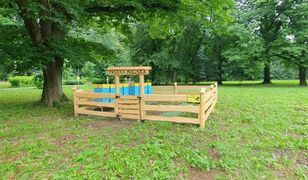 Żywiec. Jak żyją pszczoły, teraz można zobaczyć w Parku Habsburgów