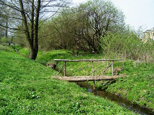 Obraz