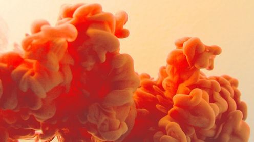 Czy jelita będziemy kupować z metra? 1