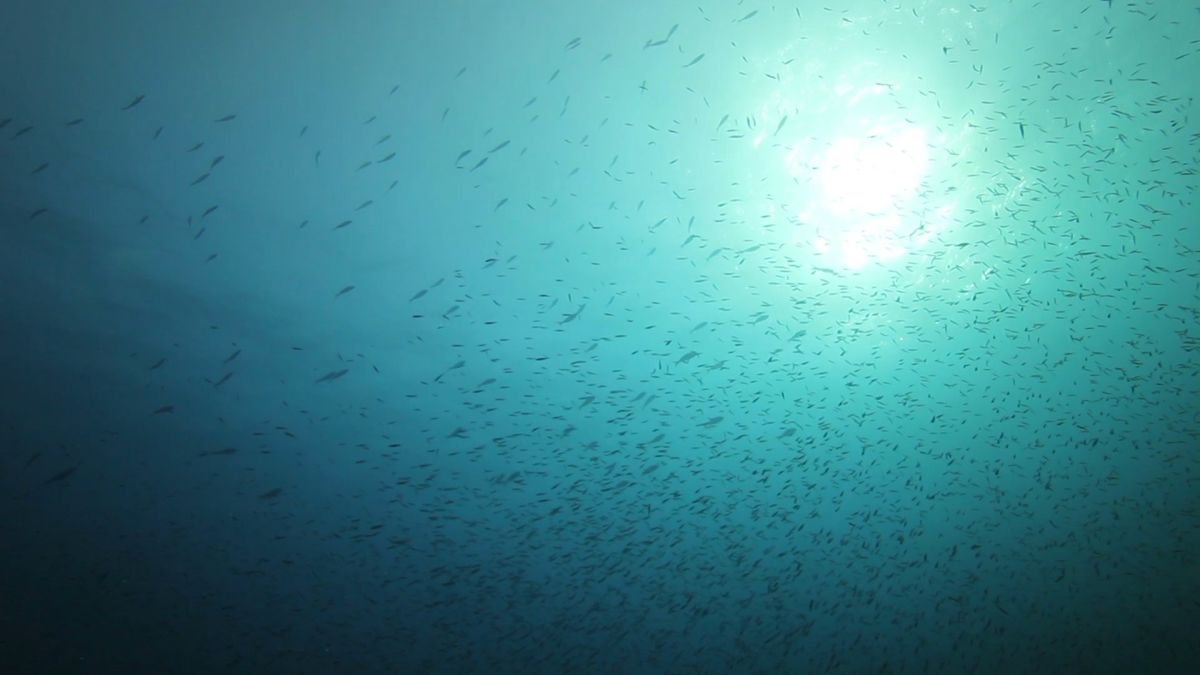 12 najbardziej zanieczyszczonych