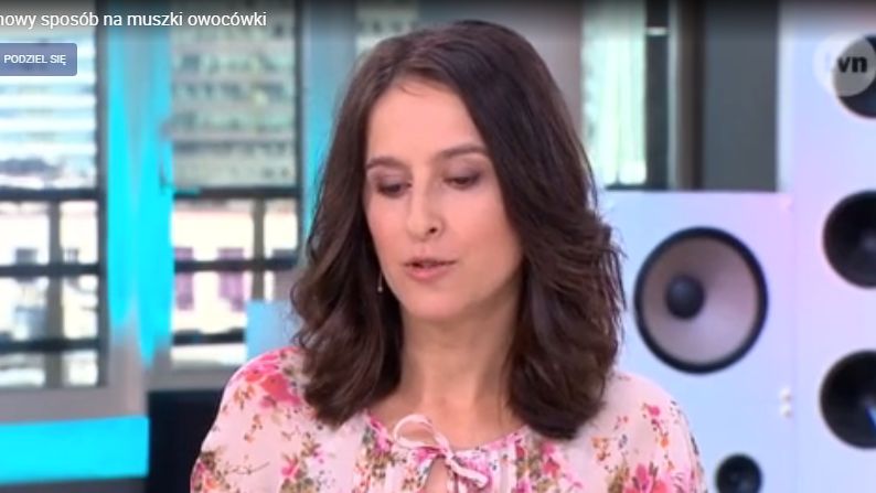 Muszki owocówki potrafią uprzykrzyć życie. Zobacz jak się ich pozbyć