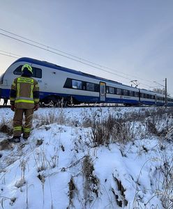 Co stało się z torami w Będzelinie? Nowe ustalenia