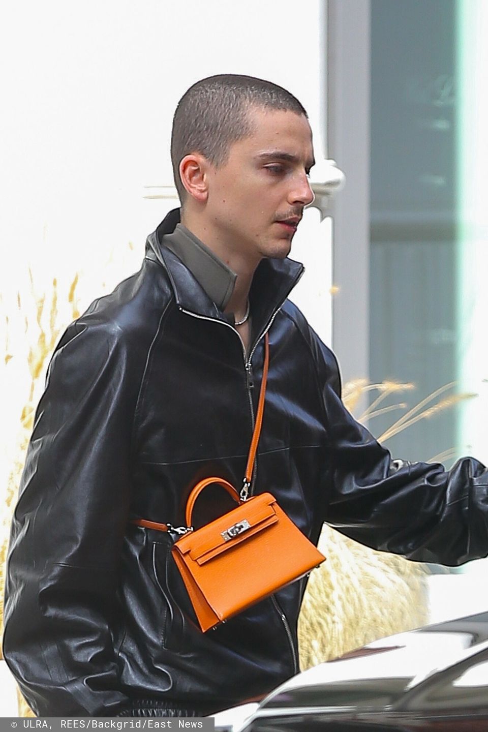 Timothee Chalamet