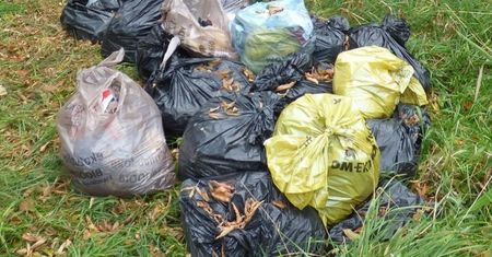Podrzucił śmieci do zagajnika. Z odpadami zostawił dokumenty z danymi