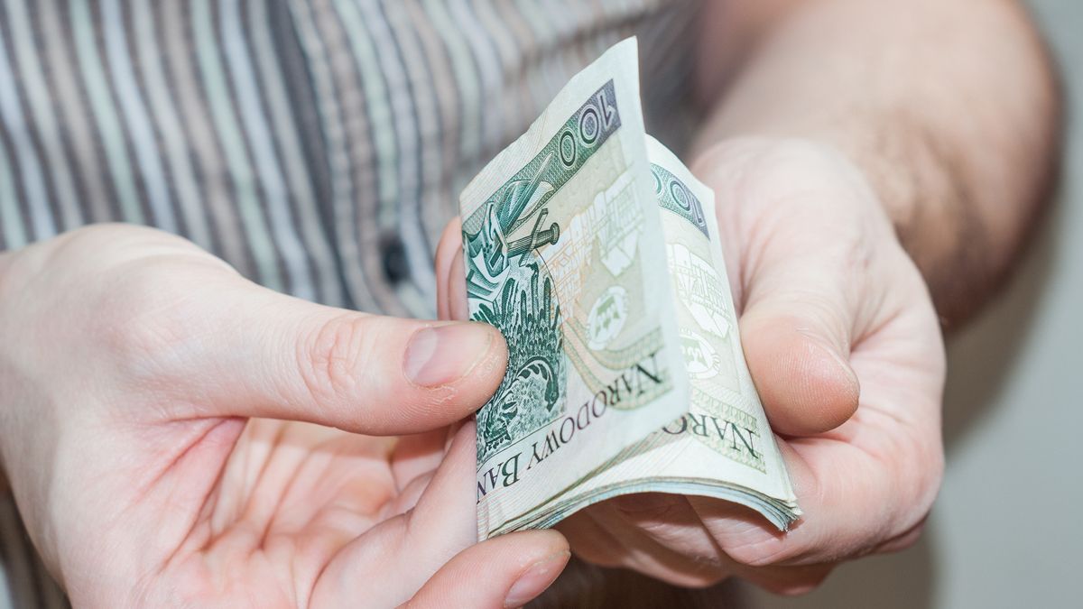 Złoty traci do głównych walut. Co się dzieje z euro i dolarem?