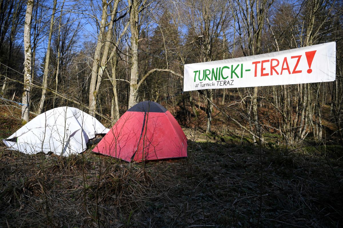 Podkarpackie. Aktywiści okupują las. Chcą utworzenia Turnickiego Parku Narodowego 