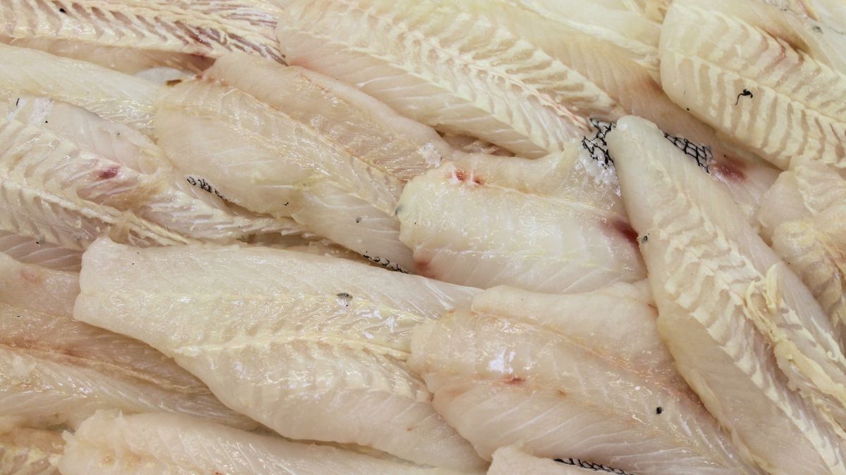 Dlaczego panga jest tak niezdrowa?