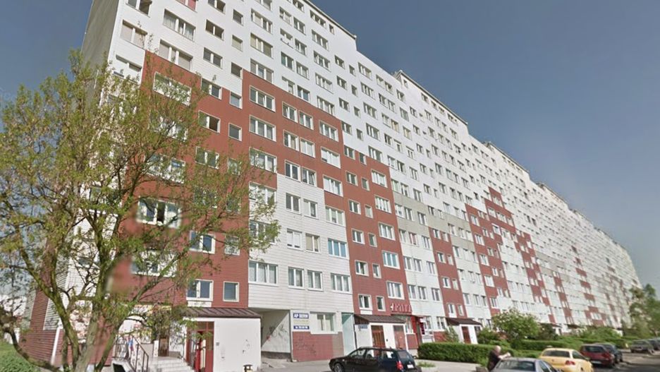 wielka niedźwiedzica legnica