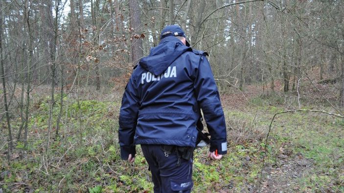 grzybobranie policja las