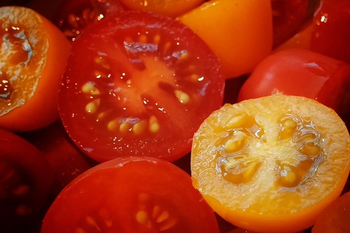 Nie każdy pomidor przyczyni się naszemu zdrowiu.