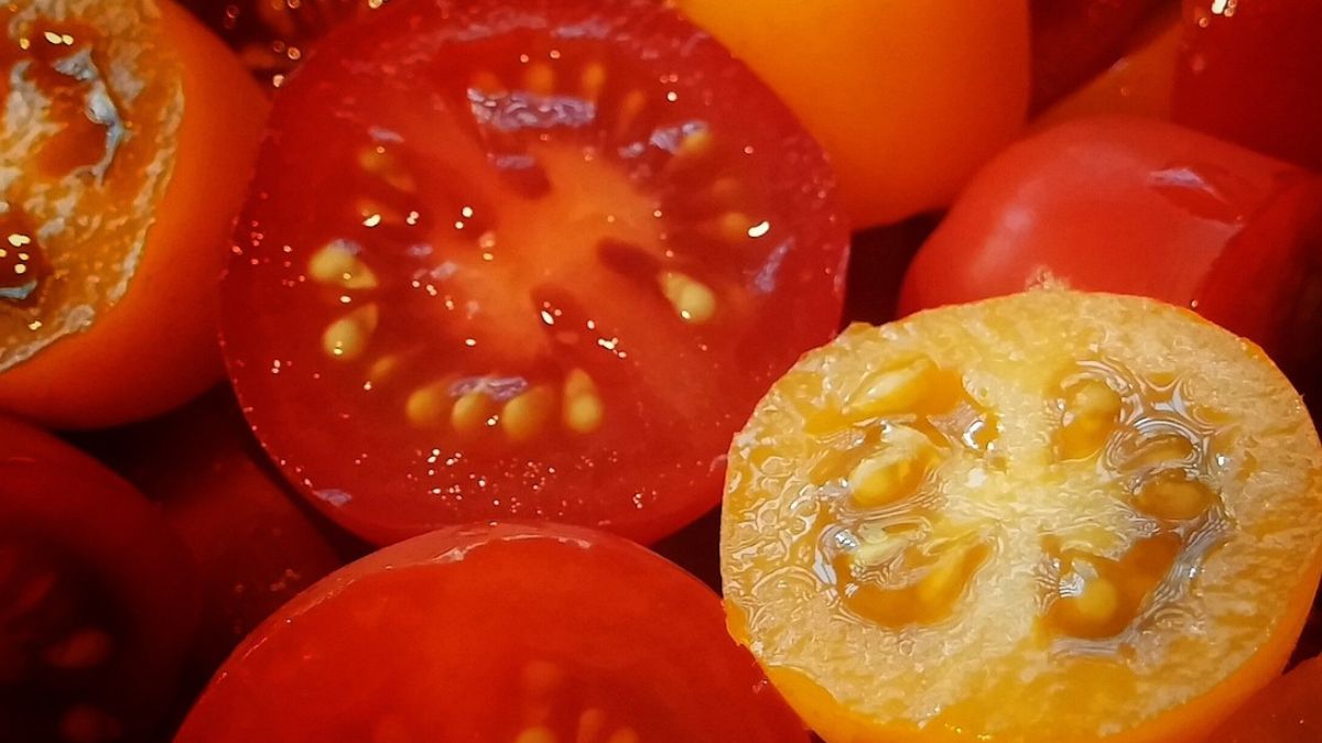 Nie każdy pomidor wspiera zdrowie