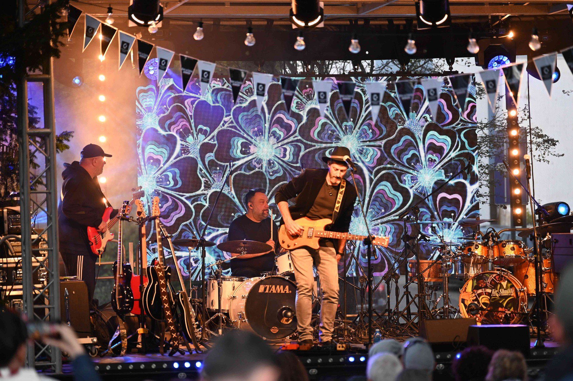Tak było w piątek 22 sierpnia 2025 r. w parku w Świeciu podczas Blues na Świecie Festival