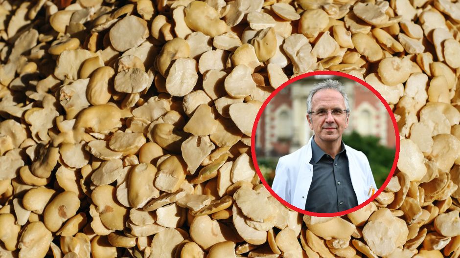 Podstawą długiego życia jest odpowiednia dieta