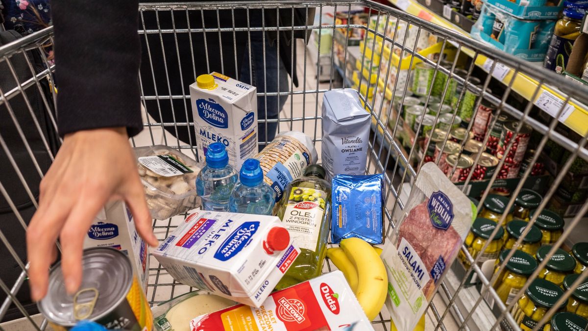 Stock ArZiFot. Arkadiusz Ziolek/East News. Wozek sklepowy z zakupami.ARKADIUSZ ZIOLEK