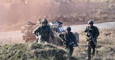 Ilu żołnierzy liczy Wojsko Polskie? Są najnowsze dane
